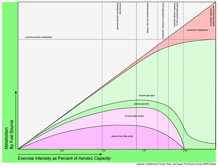 Caloric needs for recovery from exercise